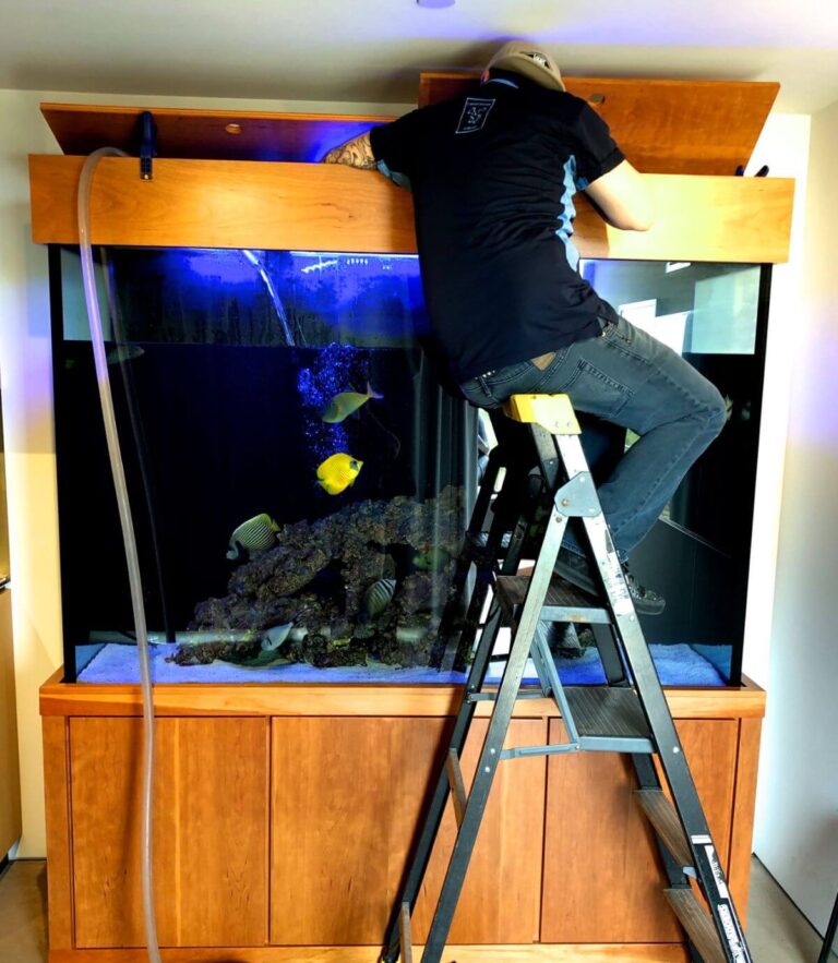 Aaron Bernard, owner of Next Level Aquatics