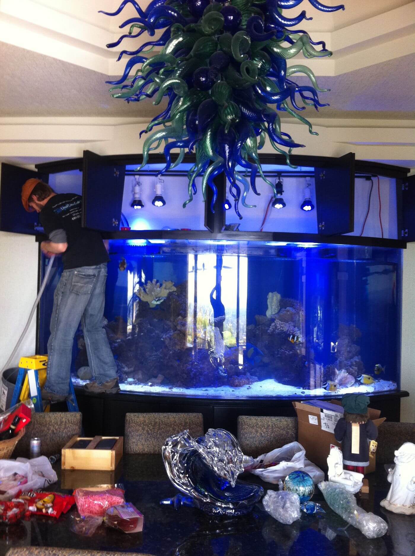 Phoenix Aquarium Servicing