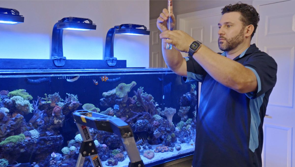 Coral Reef System