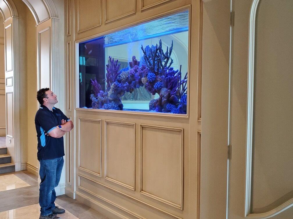 Custom Design and Installation