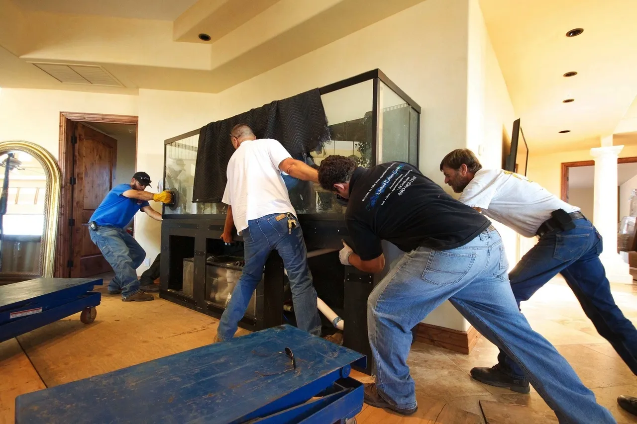 Aquarium Moving