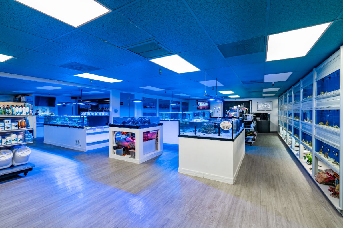 Next Level Aquatics store interior